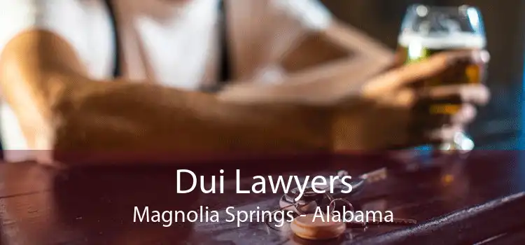 Dui Lawyers Magnolia Springs - Alabama