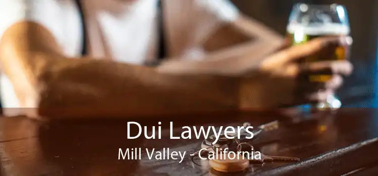 Dui Lawyers Mill Valley - California
