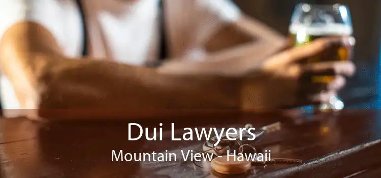 Dui Lawyers Mountain View - Hawaii