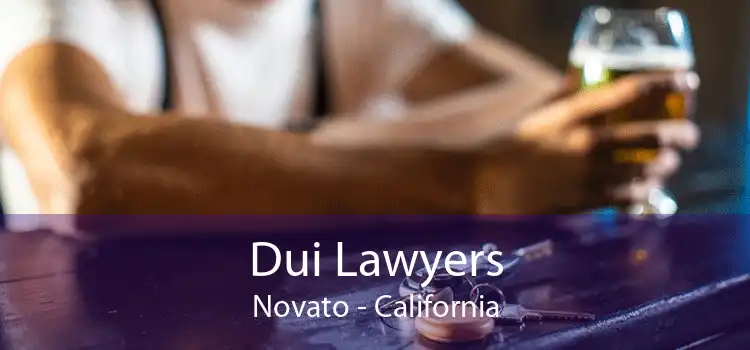 Dui Lawyers Novato - California