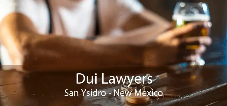 Dui Lawyers San Ysidro - New Mexico