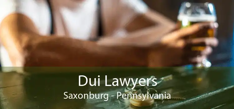 Dui Lawyers Saxonburg - Pennsylvania