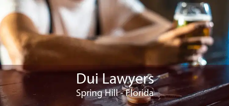 Dui Lawyers Spring Hill - Florida