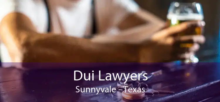 Dui Lawyers Sunnyvale - Texas