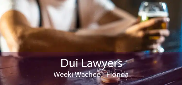 Dui Lawyers Weeki Wachee - Florida