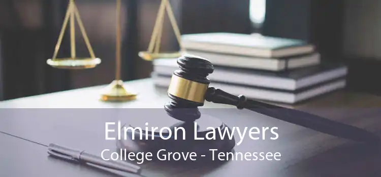 Elmiron Lawyers College Grove - Tennessee