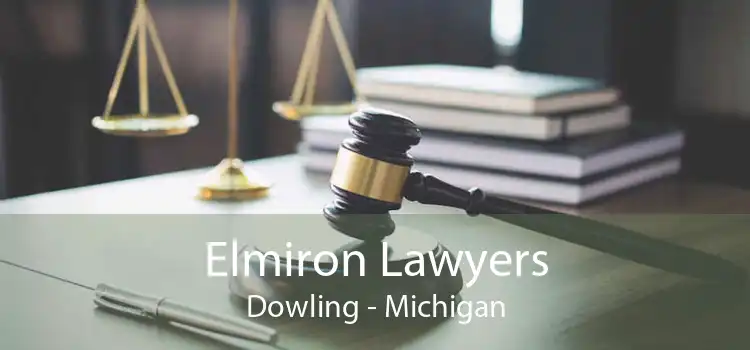 Elmiron Lawyers Dowling - Michigan