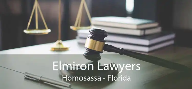 Elmiron Lawyers Homosassa - Florida