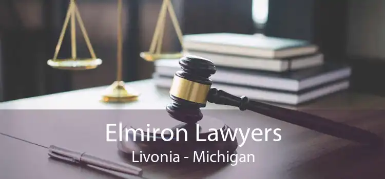 Elmiron Lawyers Livonia - Michigan