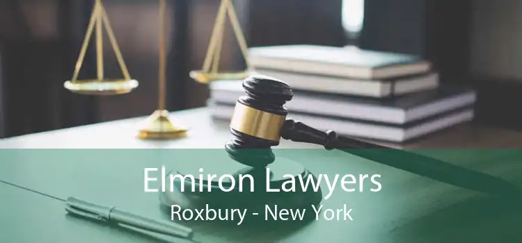 Elmiron Lawyers Roxbury - New York