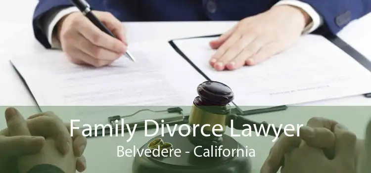 Family Divorce Lawyer Belvedere - California