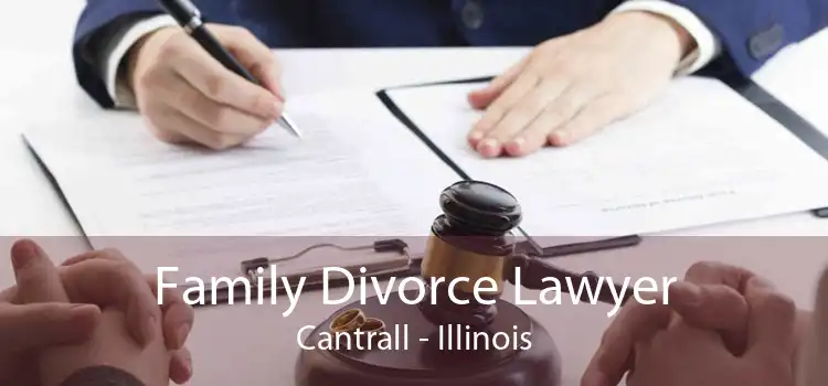 Family Divorce Lawyer Cantrall - Illinois