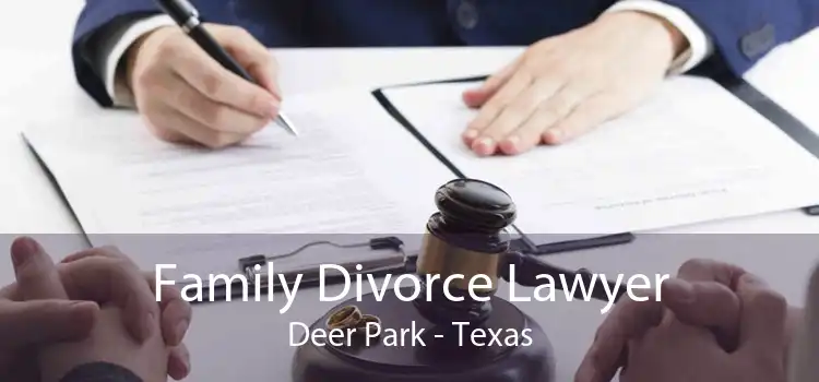 Family Divorce Lawyer Deer Park - Texas