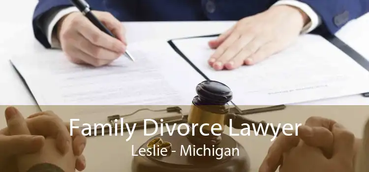 Family Divorce Lawyer Leslie - Michigan