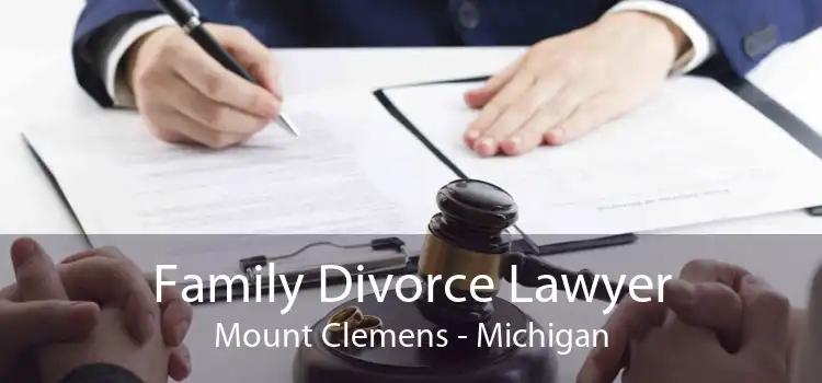 Family Divorce Lawyer Mount Clemens - Michigan