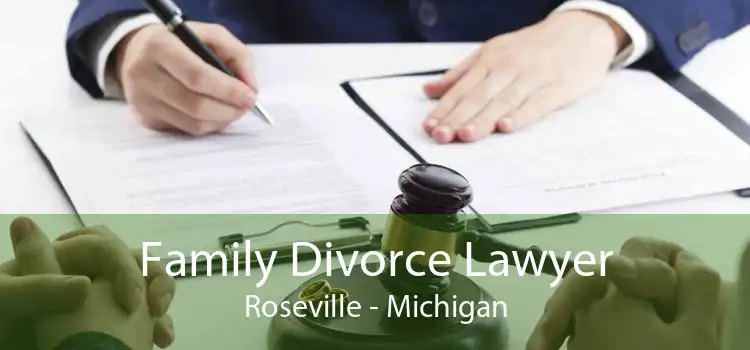 Family Divorce Lawyer Roseville - Michigan