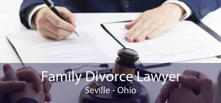 Family Divorce Lawyer Seville - Ohio