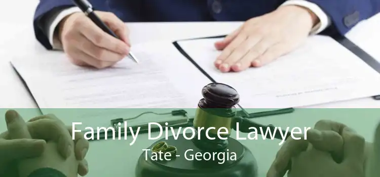 Family Divorce Lawyer Tate - Georgia