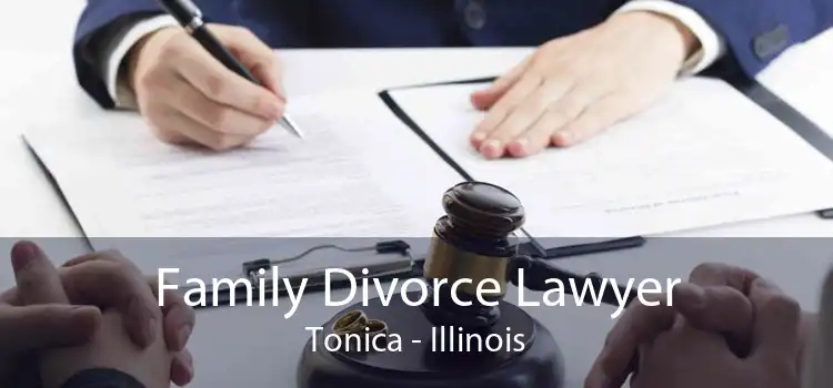 Family Divorce Lawyer Tonica - Illinois