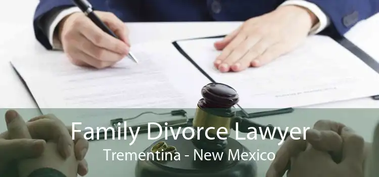 Family Divorce Lawyer Trementina - New Mexico
