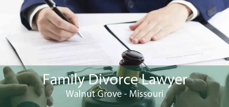 Family Divorce Lawyer Walnut Grove - Missouri