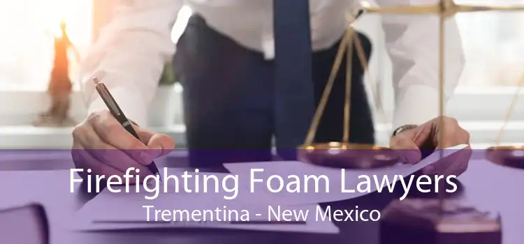 Firefighting Foam Lawyers Trementina - New Mexico