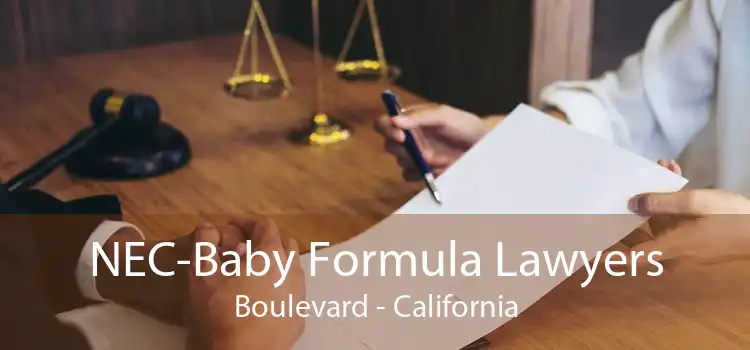 NEC-Baby Formula Lawyers Boulevard - California