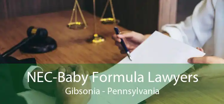 NEC-Baby Formula Lawyers Gibsonia - Pennsylvania