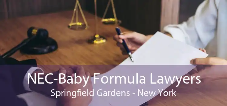 NEC-Baby Formula Lawyers Springfield Gardens - New York