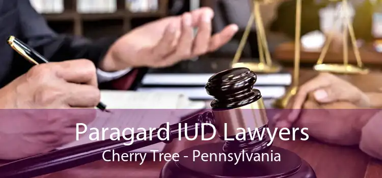 Paragard IUD Lawyers Cherry Tree - Pennsylvania