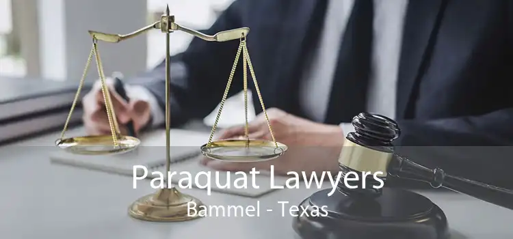 Paraquat Lawyers Bammel - Texas