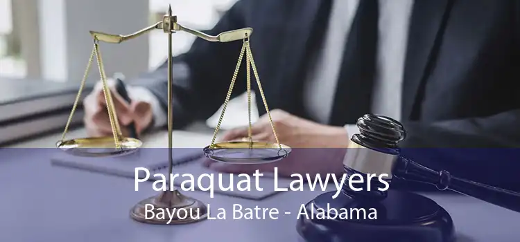 Paraquat Lawyers Bayou La Batre - Alabama