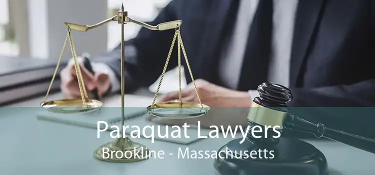 Paraquat Lawyers Brookline - Massachusetts