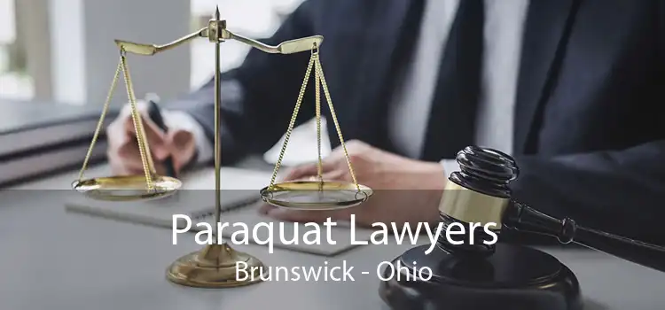 Paraquat Lawyers Brunswick - Ohio