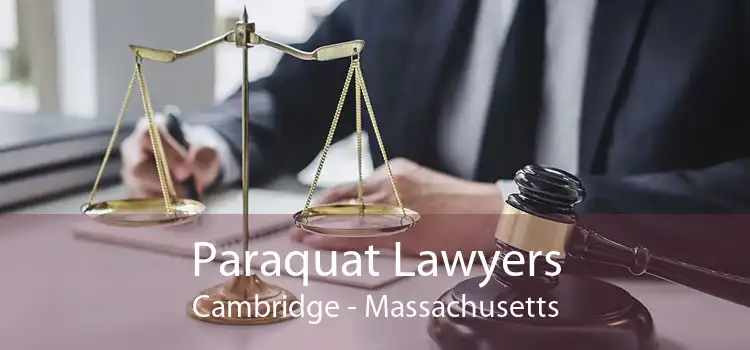 Paraquat Lawyers Cambridge - Massachusetts