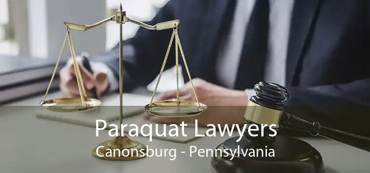 Paraquat Lawyers Canonsburg - Pennsylvania