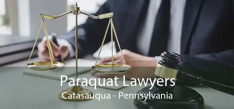 Paraquat Lawyers Catasauqua - Pennsylvania