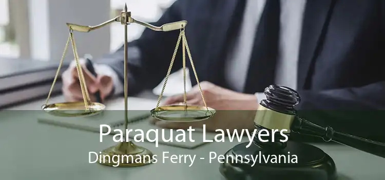 Paraquat Lawyers Dingmans Ferry - Pennsylvania