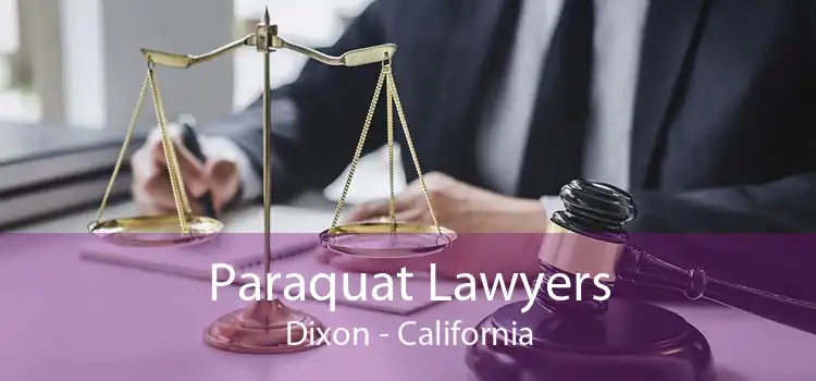 Paraquat Lawyers Dixon - California