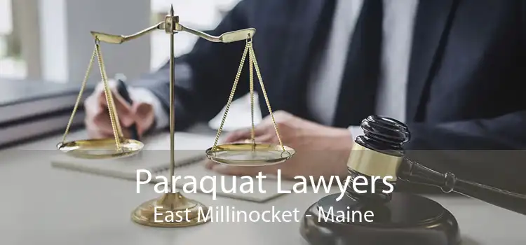 Paraquat Lawyers East Millinocket - Maine