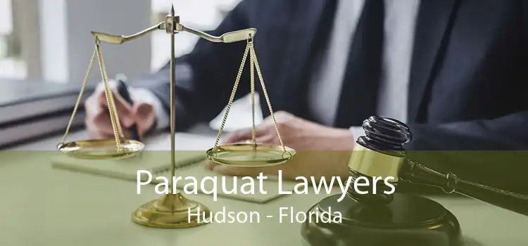 Paraquat Lawyers Hudson - Florida