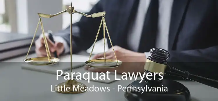 Paraquat Lawyers Little Meadows - Pennsylvania