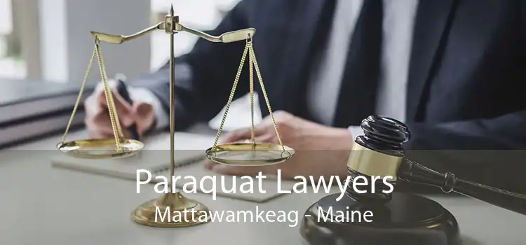 Paraquat Lawyers Mattawamkeag - Maine