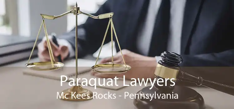 Paraquat Lawyers Mc Kees Rocks - Pennsylvania