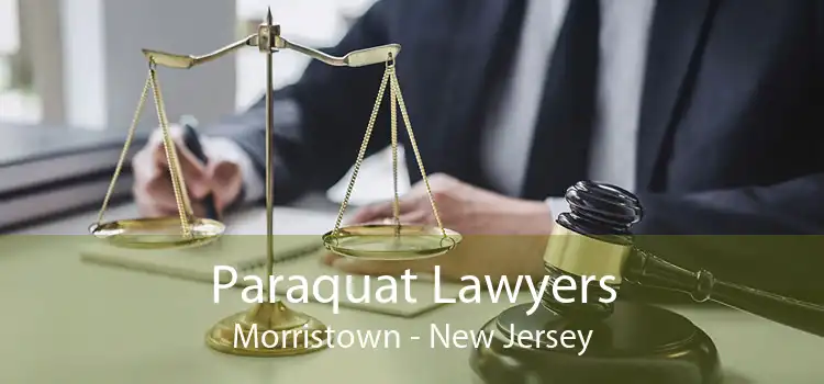 Paraquat Lawyers Morristown - New Jersey