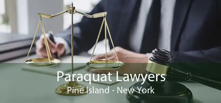 Paraquat Lawyers Pine Island - New York