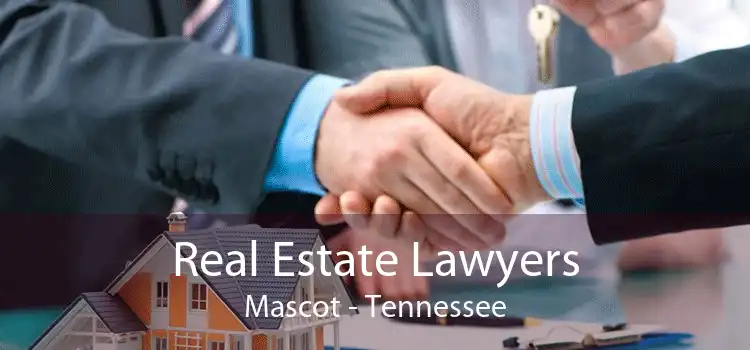 Real Estate Lawyers Mascot - Tennessee