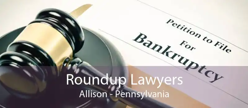 Roundup Lawyers Allison - Pennsylvania