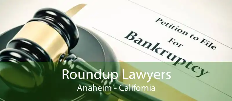 Roundup Lawyers Anaheim - California