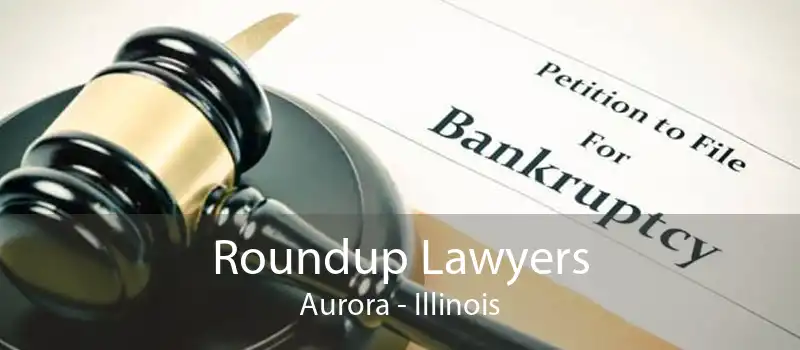 Roundup Lawyers Aurora - Illinois
